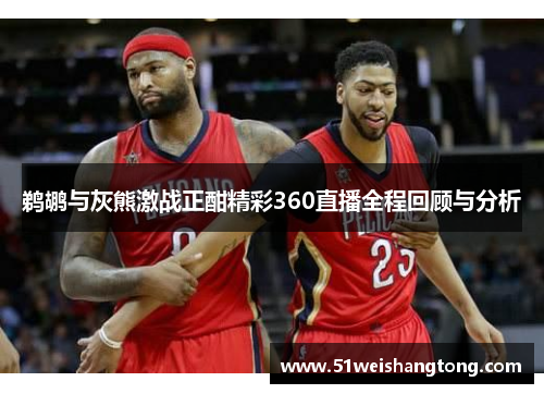 鹈鹕与灰熊激战正酣精彩360直播全程回顾与分析